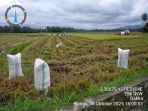 IMG-20251031-WA0052